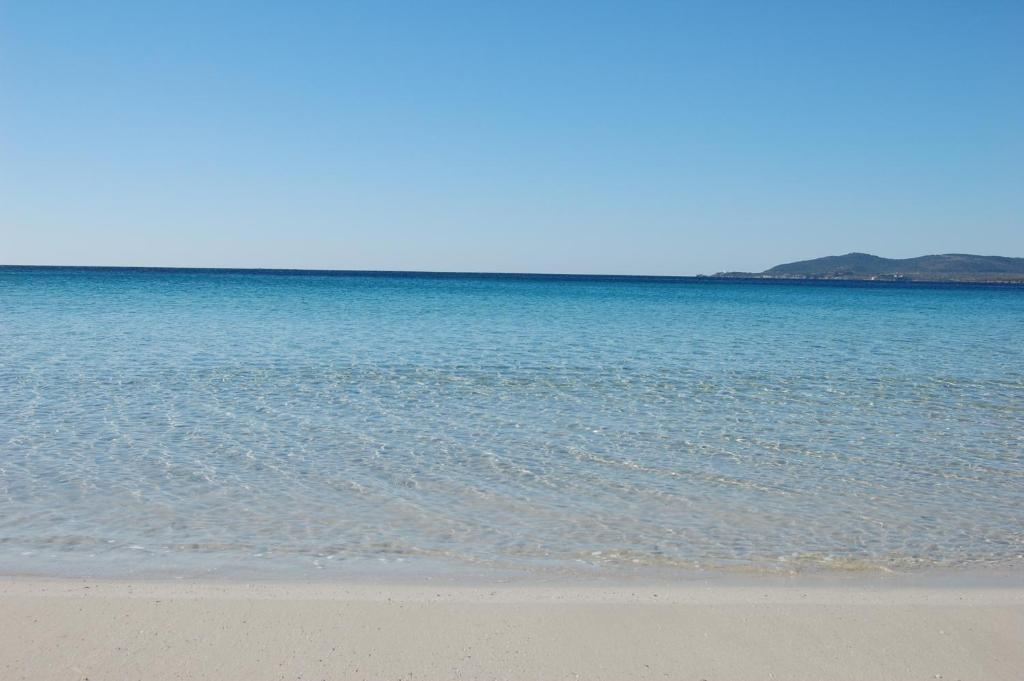 Gardenia Casa Vacanze Alghero Bagian luar foto